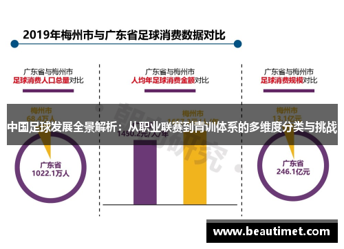 中国足球发展全景解析：从职业联赛到青训体系的多维度分类与挑战