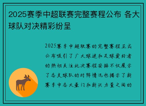 2025赛季中超联赛完整赛程公布 各大球队对决精彩纷呈